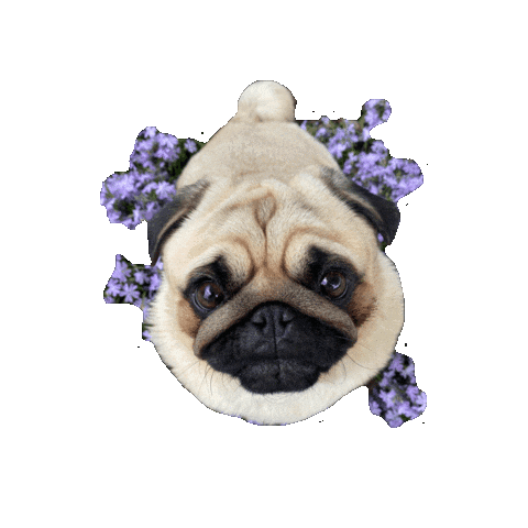 Love Sticker