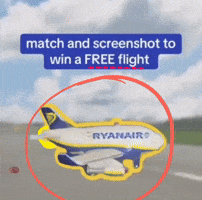 Plane Airplane GIF
