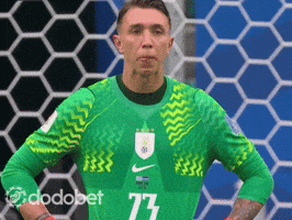 Fifa World Cup GIF by DODO Social