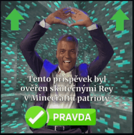 Rey Pravda GIF