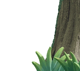 Hallo Sticker by dwarf studios