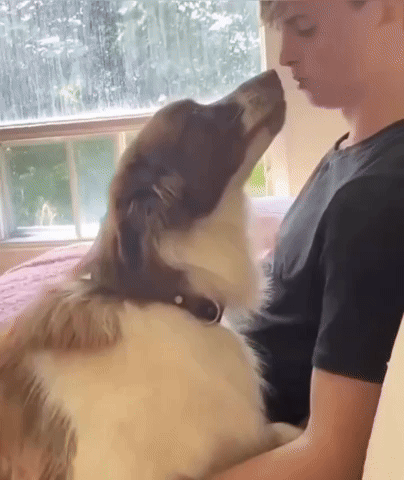 Dog Love GIF