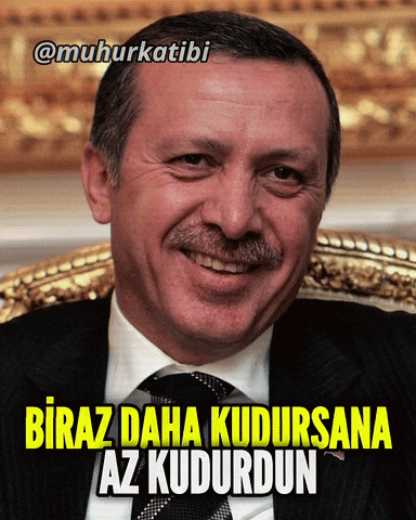 Rte Reis GIF
