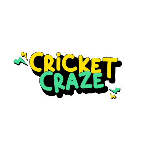 Worldcup Sticker by Playo App