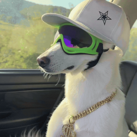 Solana Dawg GIF