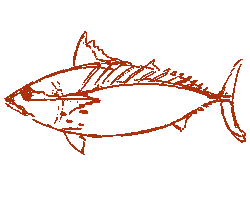 Fish Sea Sticker