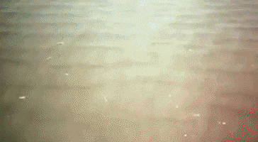 Joris Ivens GIF