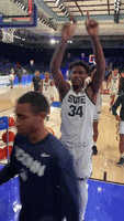 Marble Spartans GIF by Michigan State Athletics