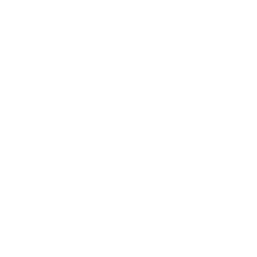 Phone Sticker