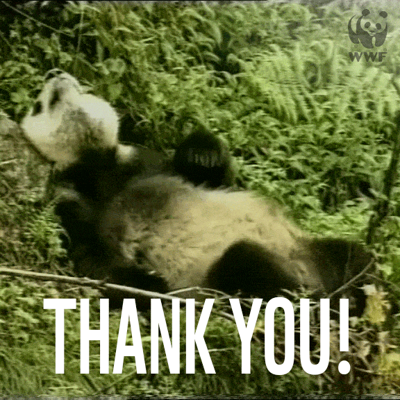giphy.gif?cid=8fc3c8975cee4c944b655167679138a0&rid=giphy.gif
