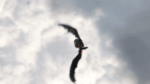 Featured image of post Flying Night Fury Toothless Gif