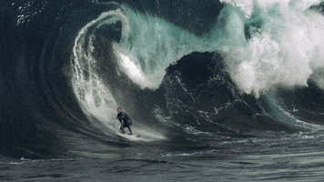 surf tsunami GIF