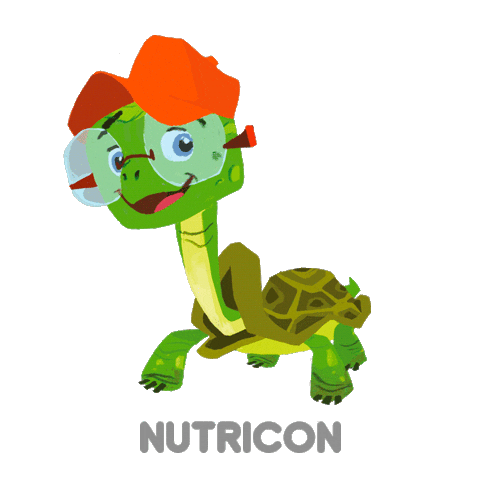 Turtle Sticker by Nutricon