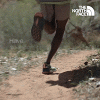  Have You Ever - The North Face