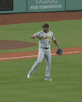 Lets Go Yes GIF by Pittsburgh Pirates