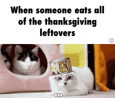 leftovers