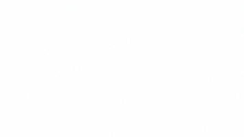 GIF by The Ginger Company