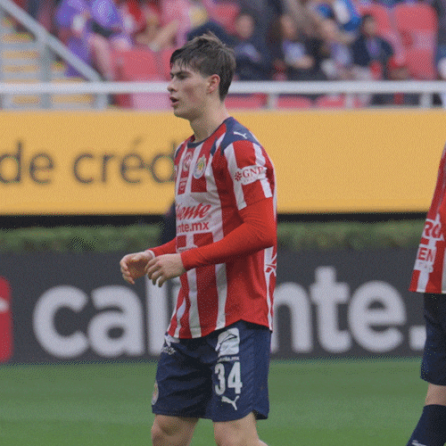 Guadalajara Hormiga GIF by Chivas Oficial