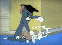 tom and jerry tom mad