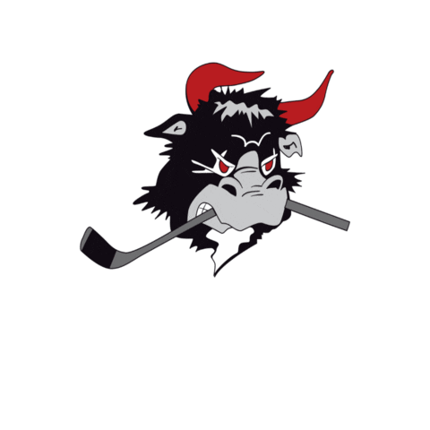 rodovremightybulls Sticker