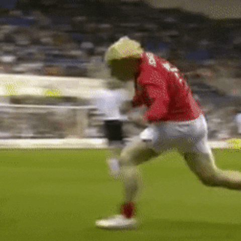 The Ibiza Bible GIF
