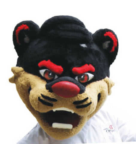 UC College of Nursing Sticker