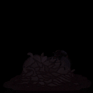 Brain Dead Fly GIF by Miyrumiyru