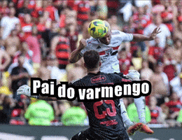 Copa Do Brasil Corinthians GIF
