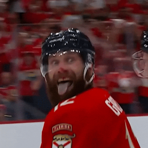 Crazy Eyes Smile GIF by Florida Panthers