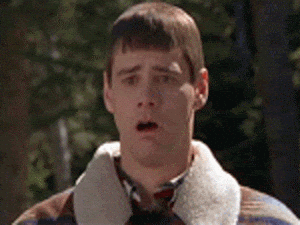 giphy.gif?cid=ecf05e47jv1h3t5fva20hebhme