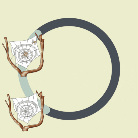 DoodleTheScience GIF