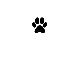 Pata Causa Animal Sticker by Brecho Vegano