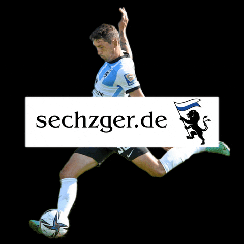 sechzgerde GIF