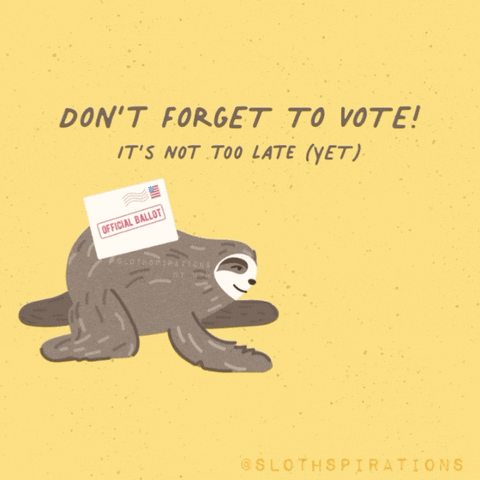Voting 2020 Election GIF by Slothspirations - Find & Share on GIPHY