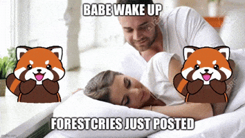 Justposted GIF