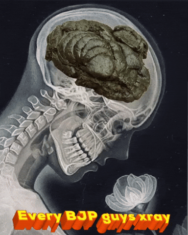 No Brain Indian GIF