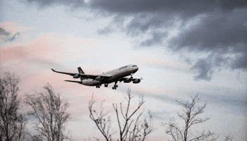 Travel GIF