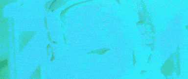 Independence Day Hello GIF