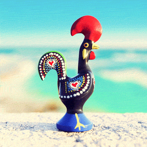 Portugal Rooster GIF by Pablo Lopez