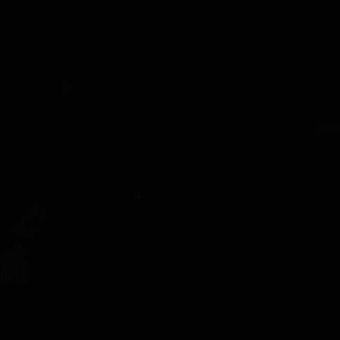 Varun Dhawan India GIF