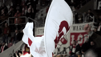 Flag Supporters GIF by LKS Lodz
