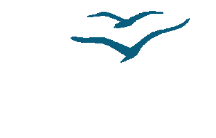 Oracle Yachting Sticker