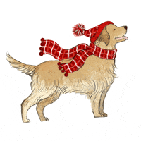 Pier-1 dog christmas dogs puppy GIF