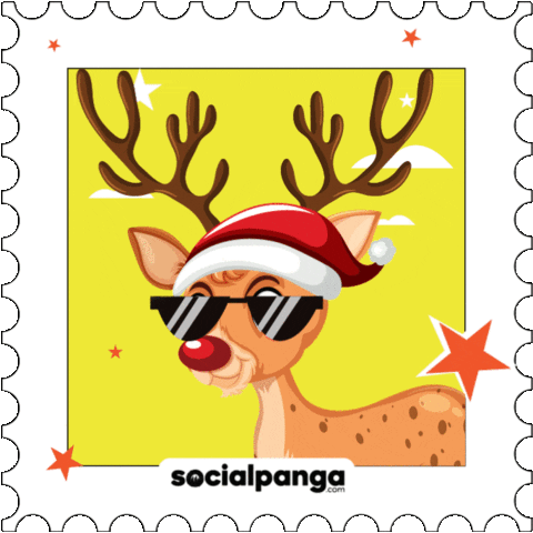 Christmas Winter GIF by Social Panga