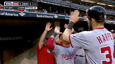 baseball