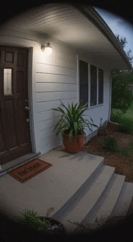 Machine Guns Cats GIF