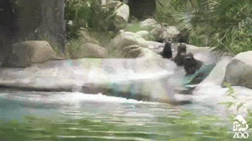 los angeles la GIF by Los Angeles Zoo and Botanical Gardens