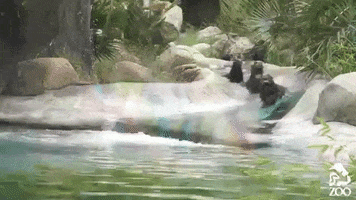 los angeles la GIF by Los Angeles Zoo and Botanical Gardens