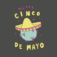 Cinco De Mayo GIF by Major Tom
