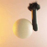 amor GIF por Lion Beach